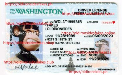 Washington Driver License(New WA)