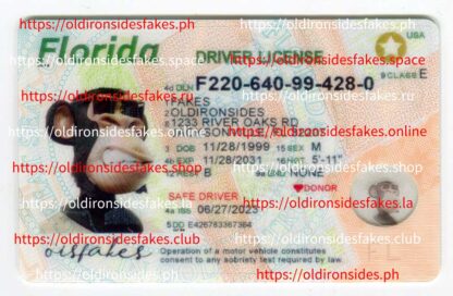 Florida Driver License(New FL O21)