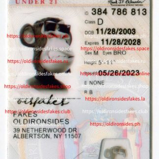 New York Driver License(NY U21 2020)