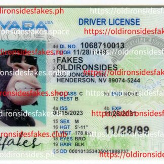Nevada Driver License(New NV)