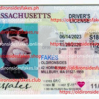 Massachusetts Driver License(New MA O21)