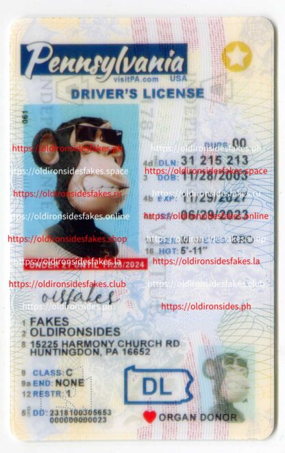 Pennsylvania Driver License(New PA U21)