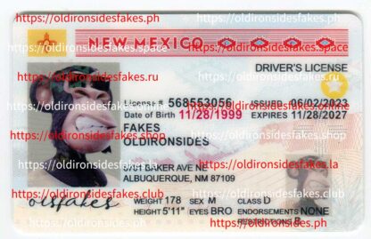New Mexico Driver License(Old NM)