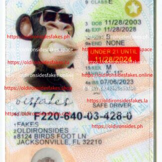 Florida Driver License(New FL U21 LEARNER)
