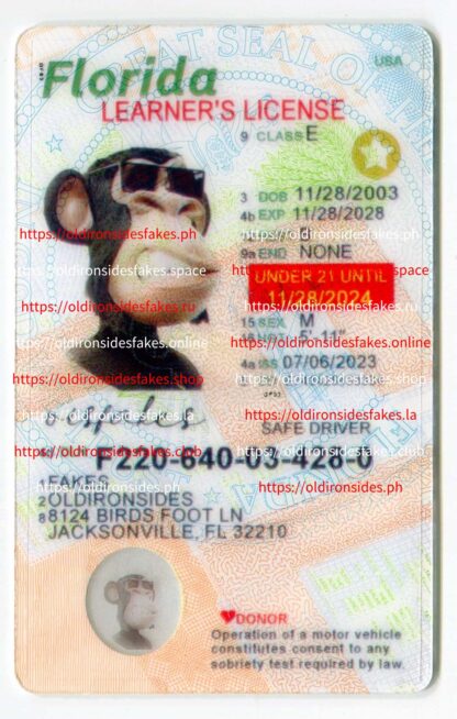 Florida Driver License(New FL U21 LEARNER)