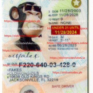 Florida Driver License(New FL U21 DRIVER)