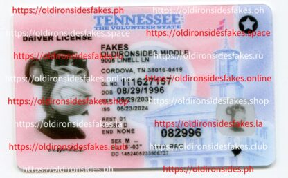 Tennessee Driver License(TN O21 2025 PolyCard)