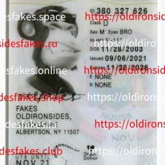 New York Driver License(New NY U21 2022 PolyCard)