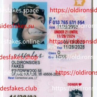 Michigan Driver License(New MI U21