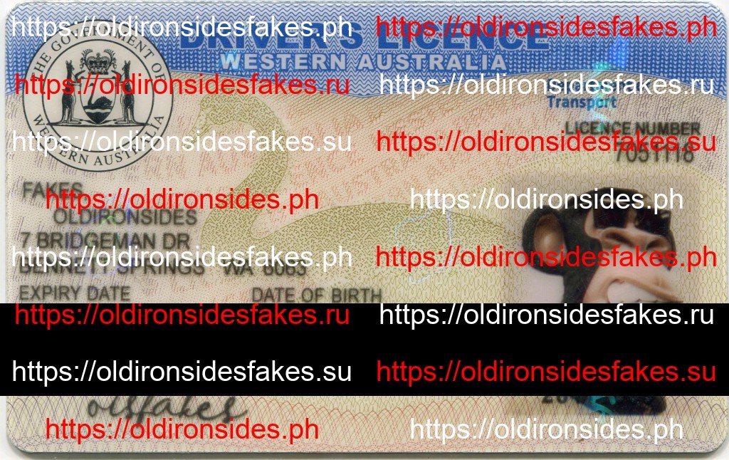 High-quality Western Australia Provisional fake ID